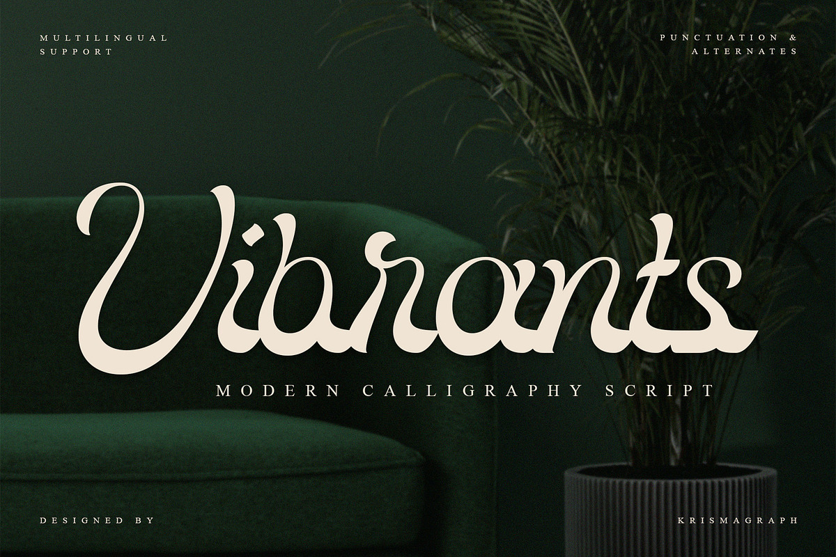 Vibrants — Modern Calligraphy Script, a Script Font by Krismagraph (Photo 1 of 10)