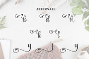 Sunday | Script Font, a Handwritten Font by Scratchones (Thumbnail 8 of 9)