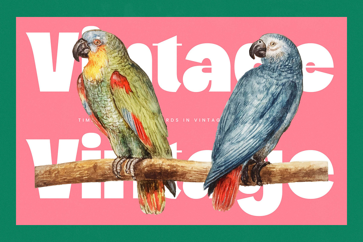 Pearl Mirage Retro Display Font, a Sans Serif Font by timelesstype.co (Photo 10 of 20)