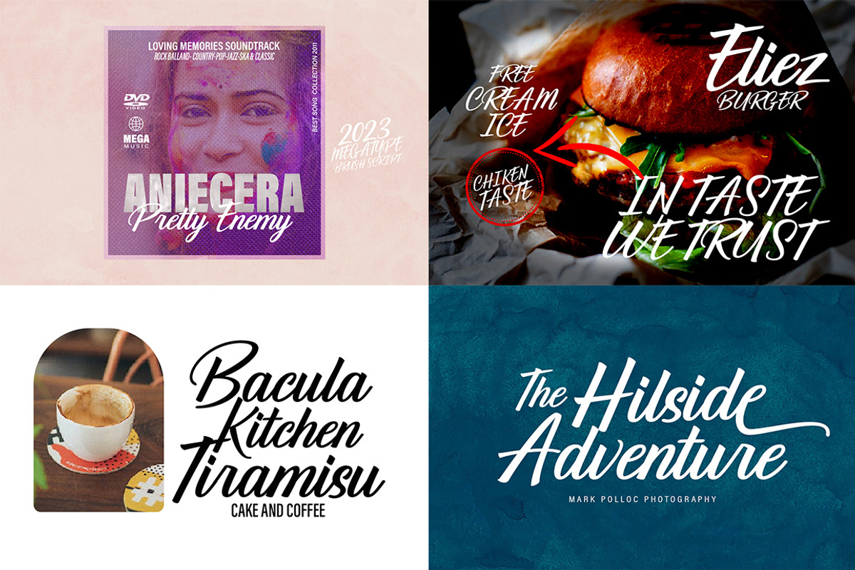 The Premium Creation Font Bundle, a Serif Font by Megatype (Photo 27 of 56)