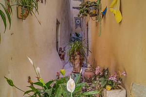 Cozy alley with plants and natural light, an Abstract Photo by DanFLCreativo