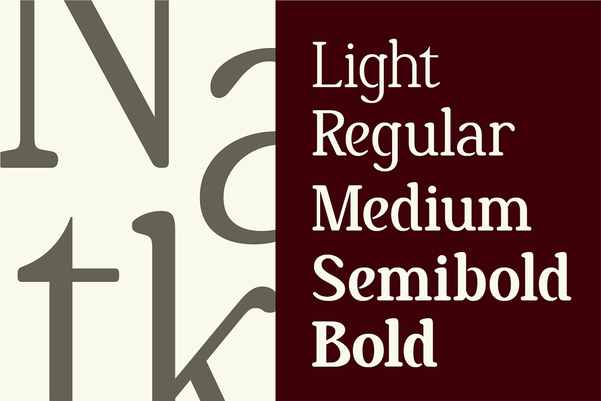 Nakota - Modern Clean Serif Font, a Serif Font by Pekotype (Photo 7 of 15)