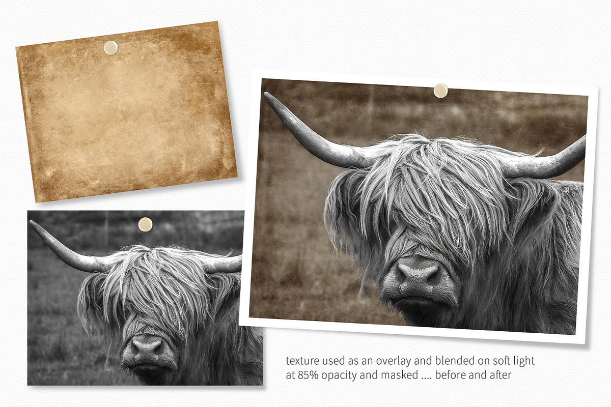 Soft Autumn, a Texture Graphic by rileyBgraphics (Photo 3 of 6)