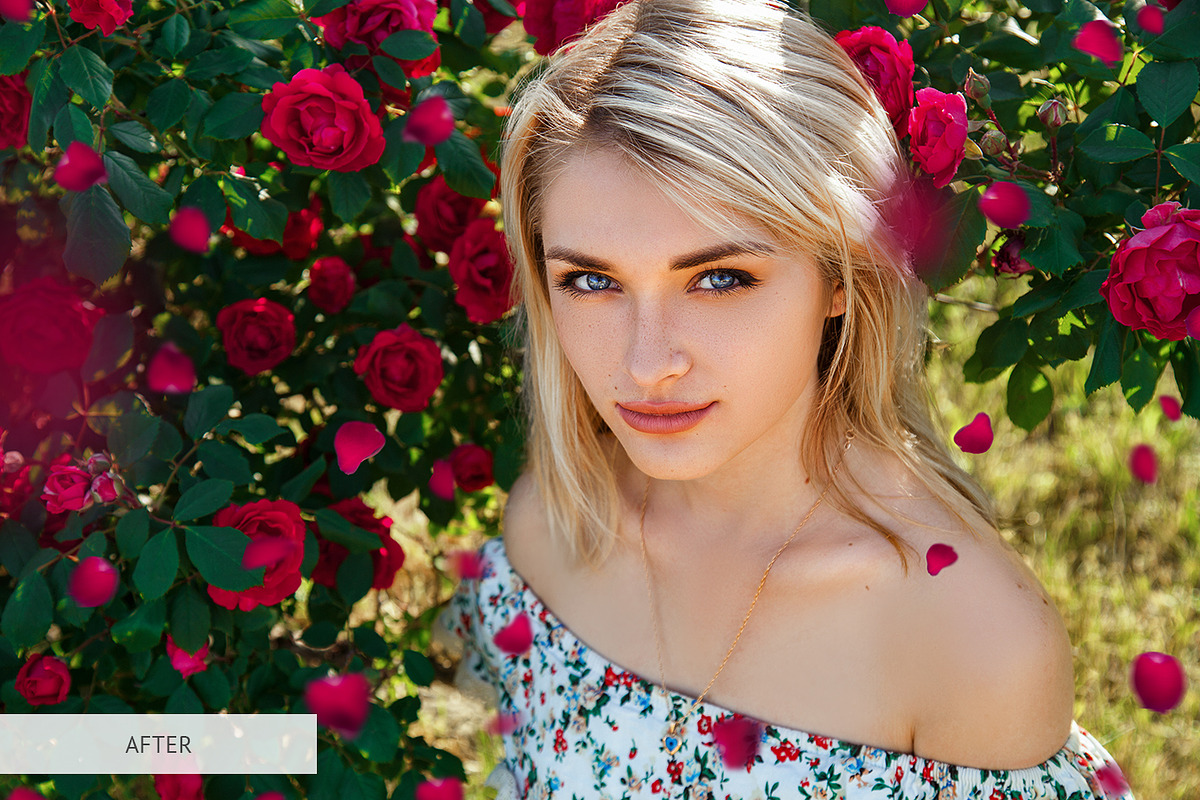 Rose Petals Photoshop Overlays, a Plug-in Add-On by FixThePhoto (Photo 20 of 34)