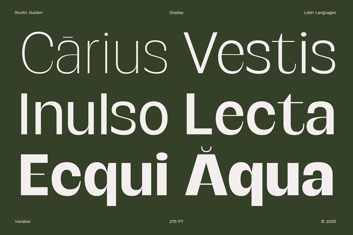 SG Verace Display Font, a Sans Serif Font by Studio Gulden (Photo 7 of 15)