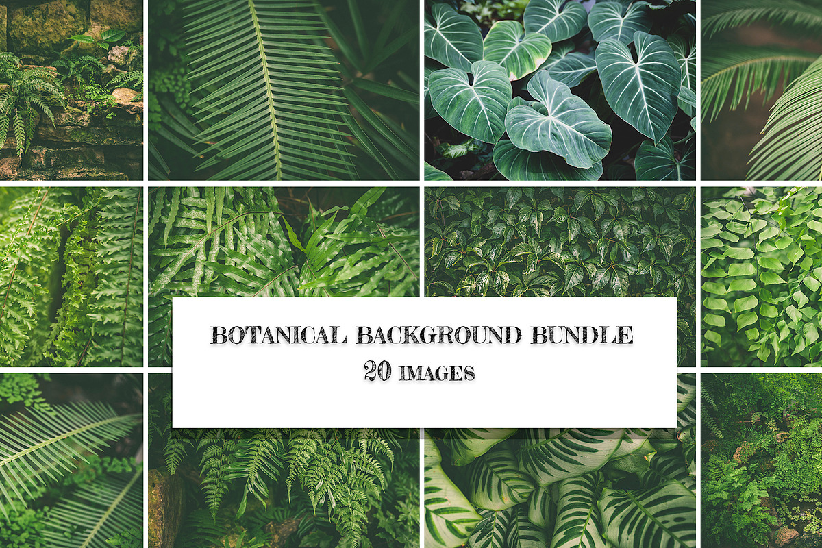 Botanical background bundle 20 jpg, a Nature Photo by WildStrawberry Magic (Photo 1 of 6)