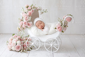 Newborn Stroller Digital Backdrop