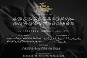 The Domillion Brush Font, a Script Font by Ardyanatypes (Thumbnail 10 of 11)