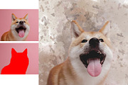 Personalized Digital Pet Portraits, an Action Add-On by MRI STUDIO (Thumbnail 11 of 13)