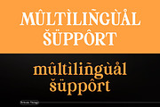 Britania Vintage, a Serif Font by Max.co Studio (Thumbnail 7 of 13)