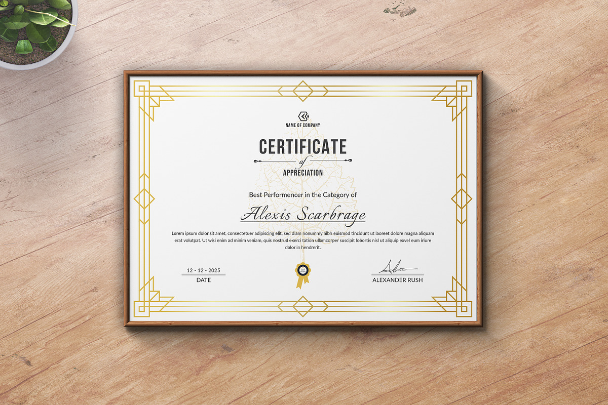 Certificate Template, a Stationery Template by ResumeDevisers (Photo 6 of 6)