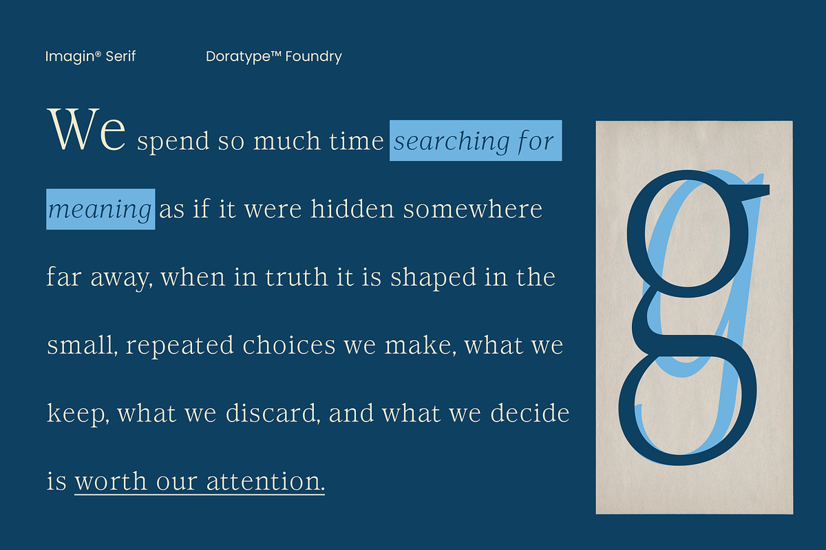 Imagin, a Serif Font by Dora Typefoundry (Photo 5 of 10)