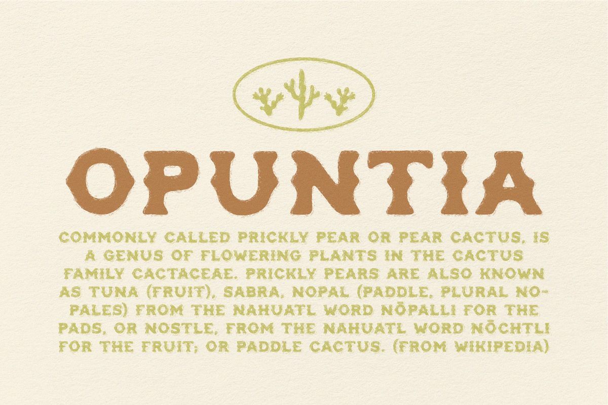 Opuntia - Curvy Spur Display Type, a Serif Font by MEG BURK CHOI (Photo 1 of 4)