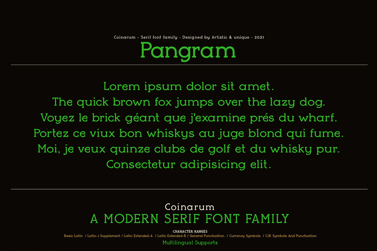 Coinarum - Serif font family, a Serif Font by Artistic & Unique (Photo 12 of 12)