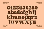 Finer – Classic Bold Serif Typeface, a Serif Font by MaikoHatta (Thumbnail 6 of 7)