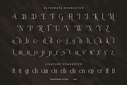 Datte Elegant Serif Display Font, a Serif Font by Graphicxell (Thumbnail 6 of 8)