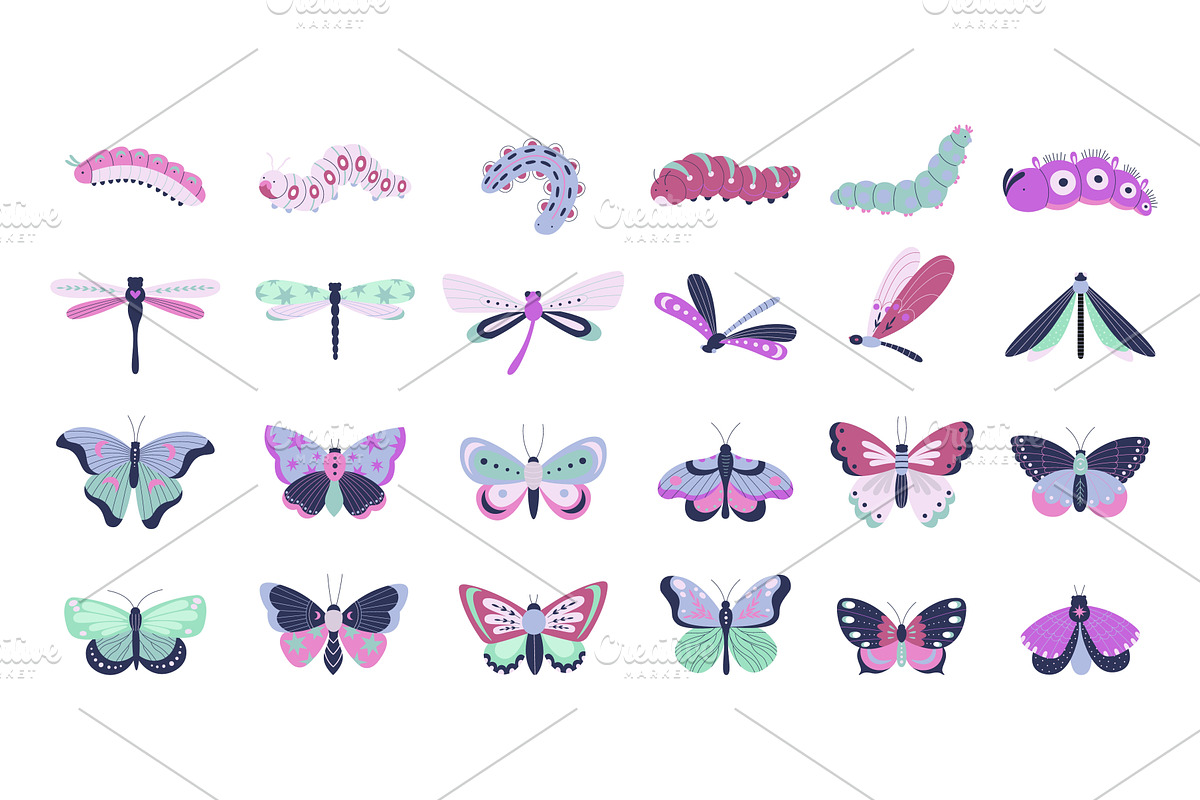 Spring summer insects. Isolated, an Animal Illustration by LadadikArt