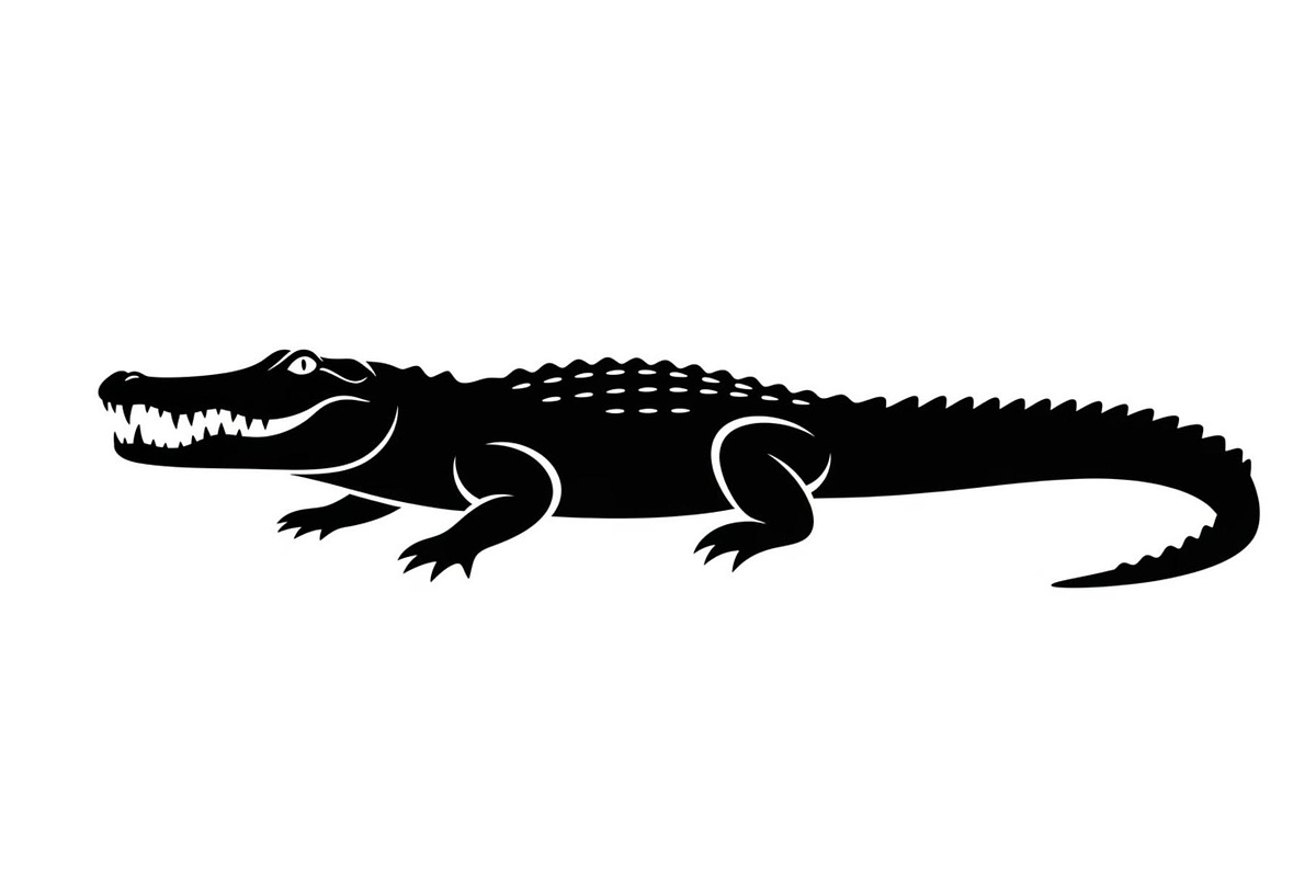 Crocodile Alligator Vector Bundle, an Illustration by jahid234 (Photo 12 of 51)
