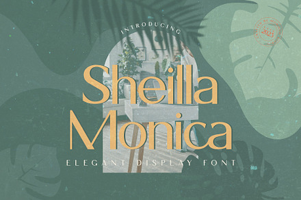 Sheilla Monica - Elegant Display