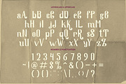 Quaker Ladies - Decorative Classic F, a Serif Font by PutraCetol Studio (Thumbnail 10 of 11)