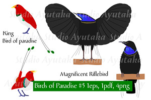Bird of Paradise #5, an Animal Illustration by dogsinarow