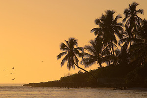 Sunset at the beach stock photo containing naples and florida