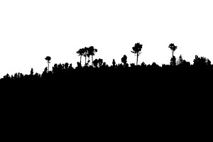 Rocky rural terrain with vegetation