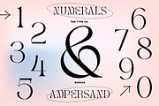 TAN - ENIGMA, a Serif Font by TanType (Thumbnail 15 of 16)
