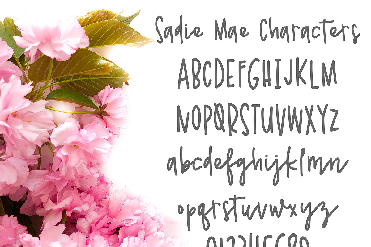 Sadie Mae preview 3