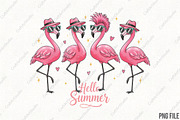 Hello Summer Flamingo Summer PNG, an Illustration by CraftArtStudio (Thumbnail 1 of 4)