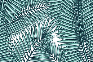 Seamless pattern with palm leaves