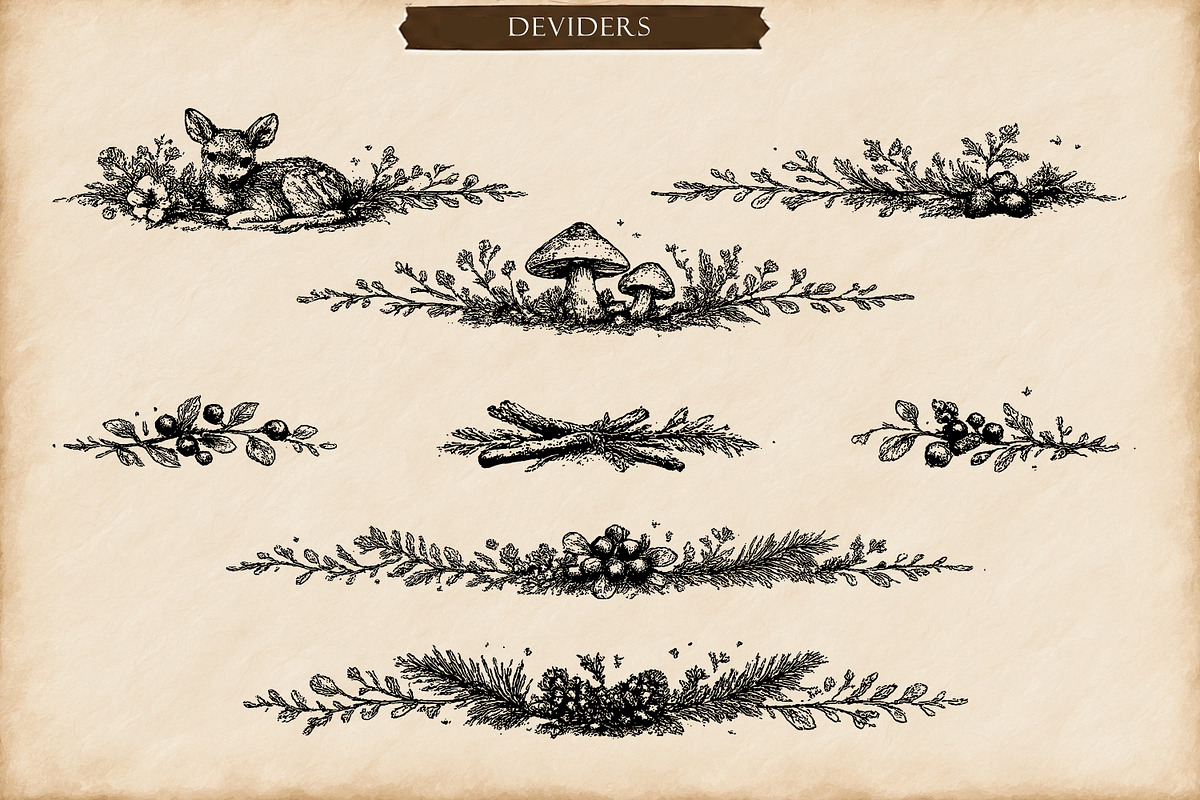 Woodland Ink Illustration Bundle, a Decorative Illustration by Dervik Art Store (Photo 6 of 10)