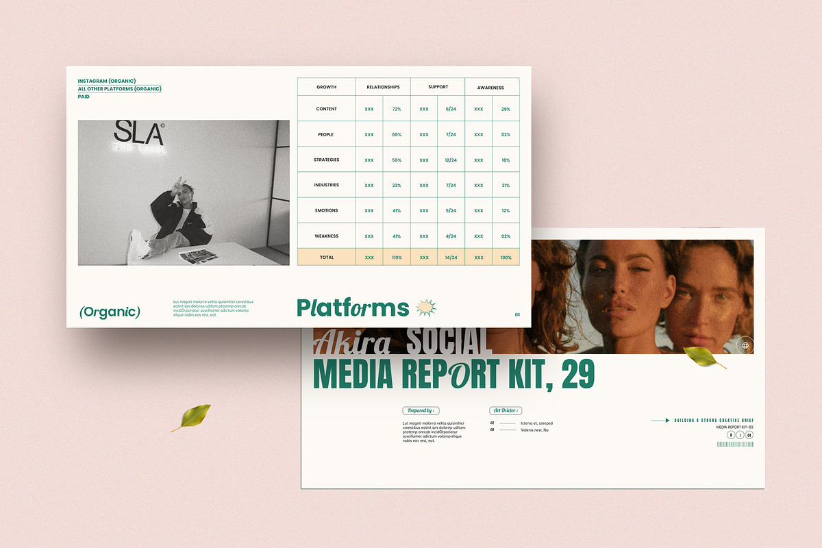 Social Media Report Kit, a Presentation Template by S A N D Y (Photo 10 of 10)