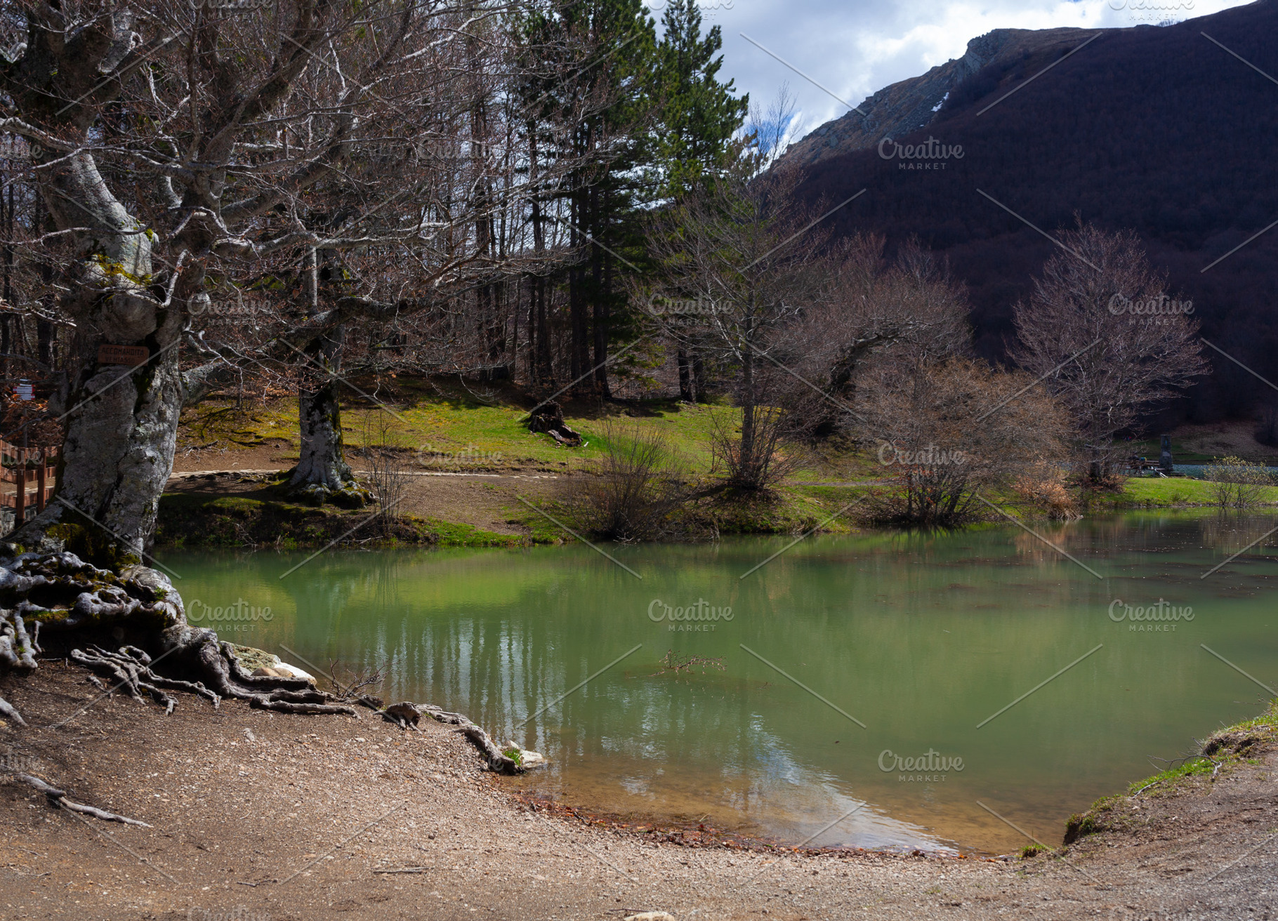 Panorama of the Calamone lake in Reggio Emilia, Italy, a Nature Photo by Bepslabor