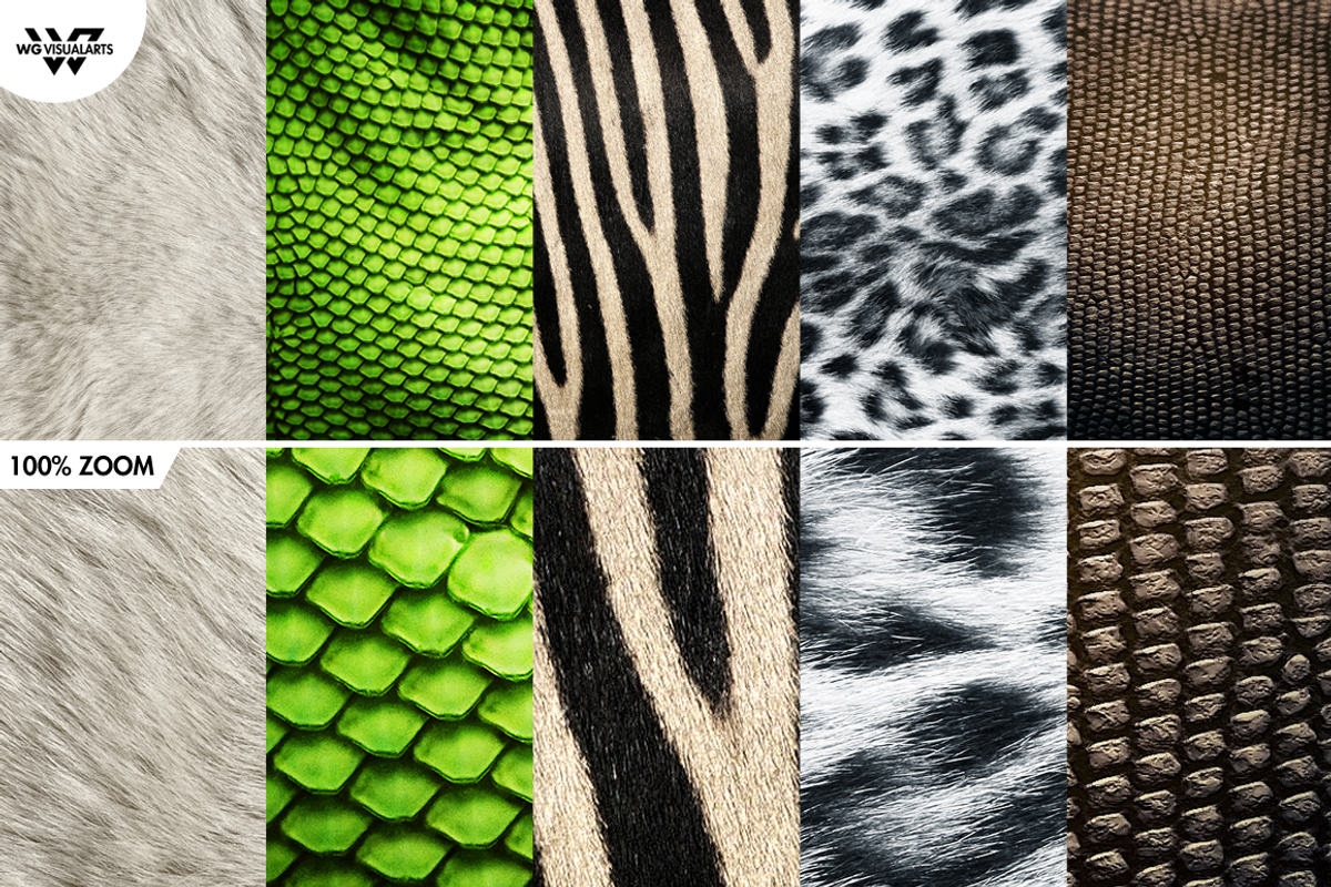 15 ANIMAL Textures, a Texture Graphic by WG DESIGN (Photo 3 of 5)