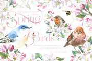 26in1 BUNDLE Watercolor Animal, an Animal Illustration by Catherine Wheel (Thumbnail 15 of 27)