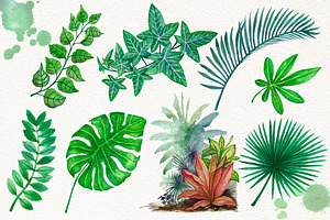 Tropical Leaves In The Jungle