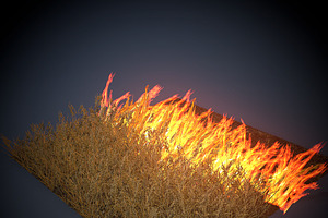 Burning Grass