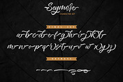 Seymore – Brush Script Font, a Script Font by Typefactoryco (Thumbnail 11 of 12)