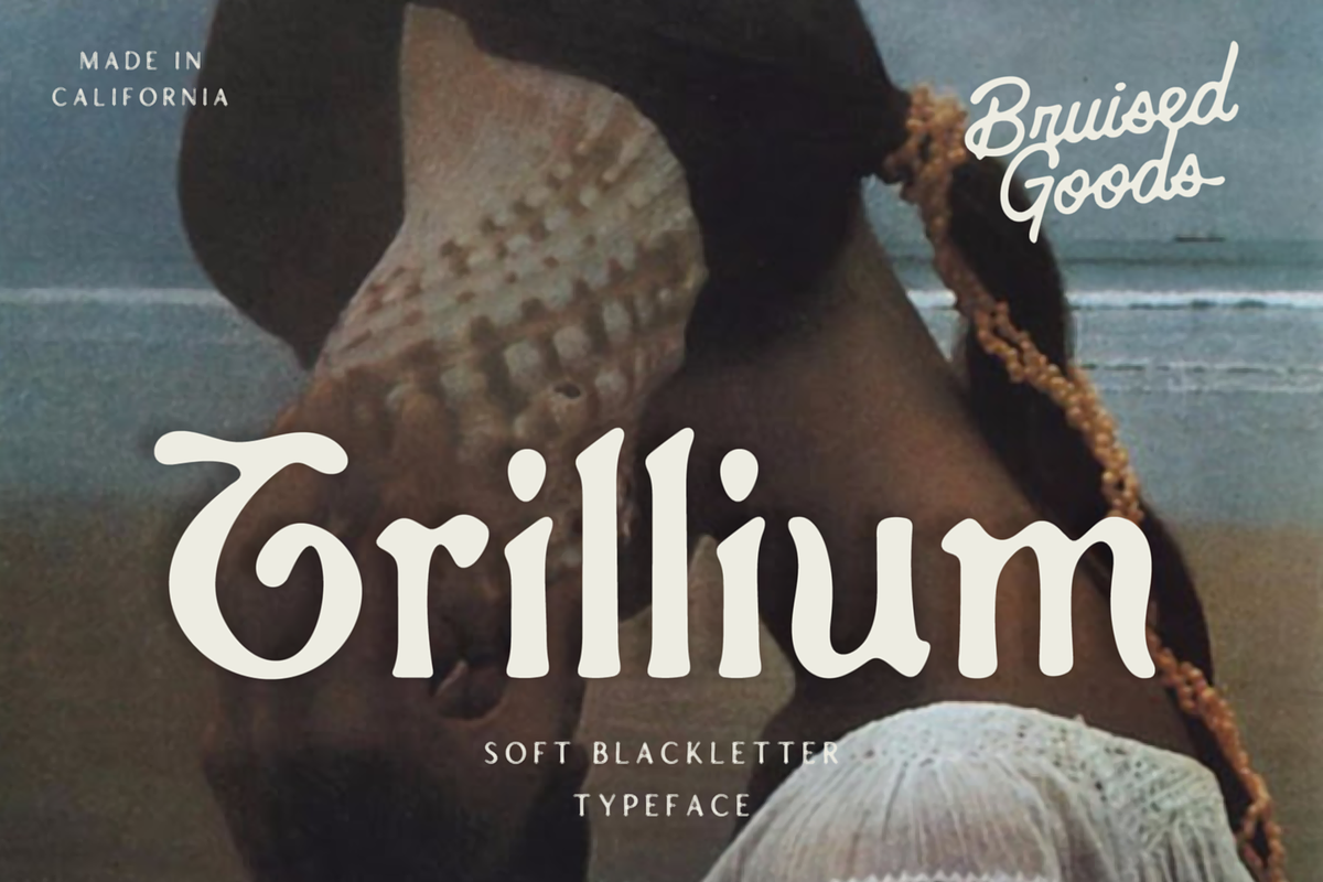 Trillium, a Blackletter Font by Bruised Goods (Photo 2 of 12)