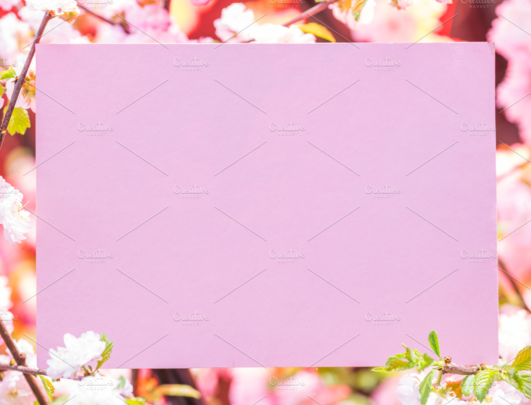 Paper blank between flowering almond, a Background Photo by Volff