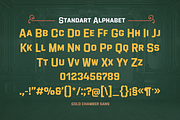 Gold Chamber – Vintage Script, a Sans Serif Font by Almarkhatype (Thumbnail 3 of 12)