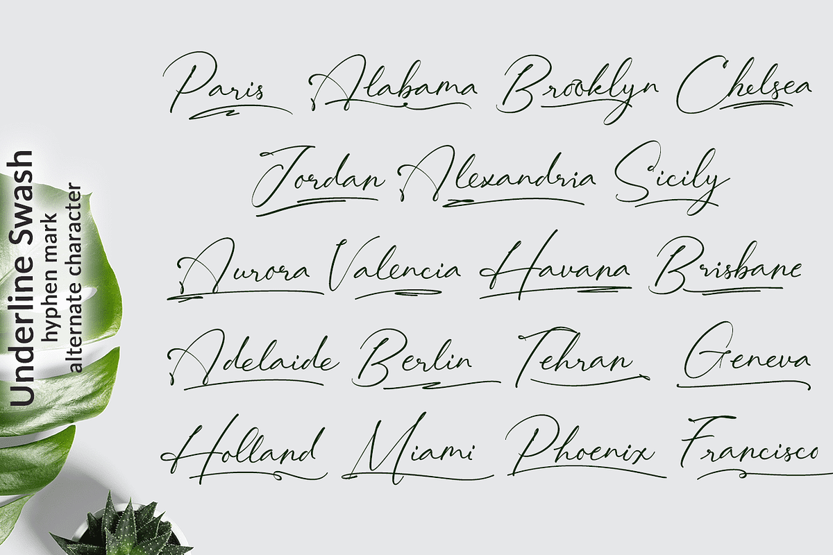Lovely Hydrillas Font, a Script Font by Letterhanna Studio (Photo 5 of 20)