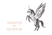 Illustrations of unicorns, an Animal Illustration by TheMountBirdStudio (Thumbnail 2 of 5)