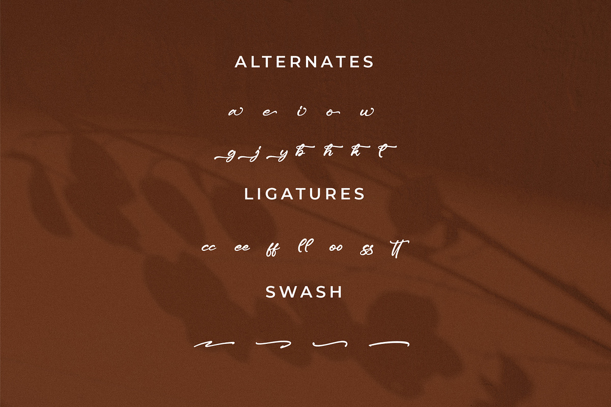 Anettasya Mottarue, a Script Font by Integritype Studio (Photo 11 of 15)