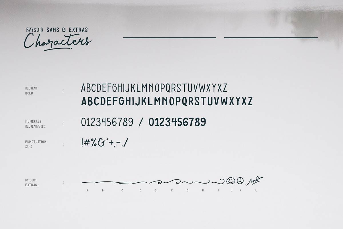 Baysoir - handwritten signature font, a Script Font by Panatype™ Studio (Photo 9 of 10)
