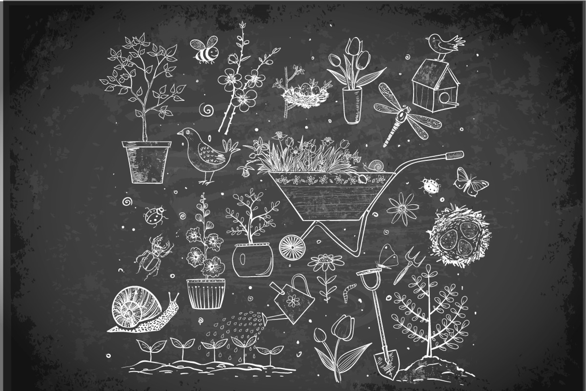 Garden sketches, an Illustration by Elina_Li (Photo 7 of 15)