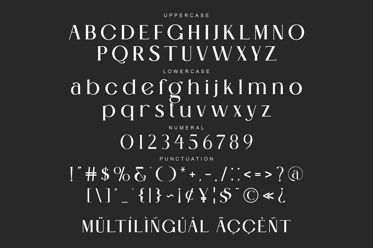 Beling A Modern Serif Typeface, a Serif Font by Alfinart (Photo 10 of 10)