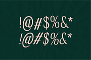 Salem - A Sharp Condensed Serif, a Serif Font by Like Magic Studio (Thumbnail 6 of 8)