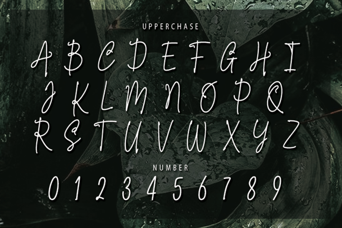 Artecallya, a Script Font by GlottaTypeface (Photo 4 of 8)